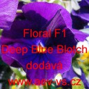 Violka ostruhat&aacute; Floral F1 Deep Blue Blotch