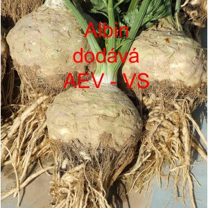 Celer bulvov&yacute; Albin