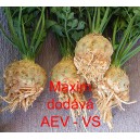 Celer bulvov&yacute; Maxim