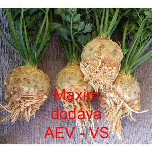 Celer bulvov&yacute; Maxim