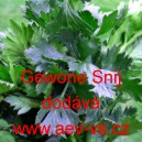 Celer naťov&yacute; Gewone Snij