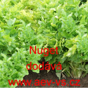 Celer řap&iacute;kat&yacute; Nuget