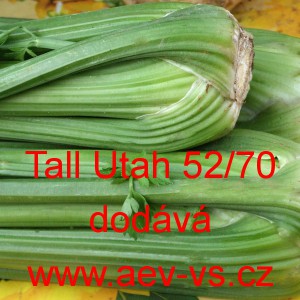 Celer řap&iacute;kat&yacute; Tall Utah 52/70