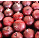 Cibule jarn&iacute; kuchyňsk&aacute; Grenada