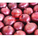 Cibule jarn&iacute; kuchyňsk&aacute; Karmen