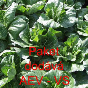 Č&iacute;nsk&eacute; zel&iacute; Paket