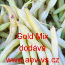 Fazol keř&iacute;čkov&yacute; Gold Mix