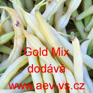 Fazol keř&iacute;čkov&yacute; ran&yacute; Gold Mix