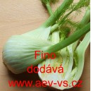 Fenykl obecn&yacute; řap&iacute;kat&yacute; Fino