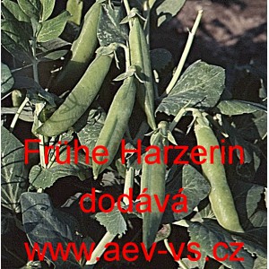 Hr&aacute;ch set&yacute; k vylupov&aacute;n&iacute; Fr&uuml;he Harzerin