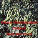 Hr&aacute;ch set&yacute; k vylupov&aacute;n&iacute; Kleine Rheinl&auml;nderin