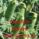 Hr&aacute;ch set&yacute; dřeňov&yacute; Premium