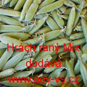 Hr&aacute;ch set&yacute; dřeňov&yacute; ran&yacute; Mix