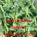 Hr&aacute;ch set&yacute; dřeňov&yacute; tyčkov&yacute; Mix