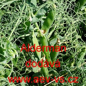 Hr&aacute;ch set&yacute; dřeňov&yacute; tyčkov&yacute; Alderman