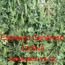 Hr&aacute;ch set&yacute; dřeňov&yacute; tyčkov&yacute; Espresso Generoso