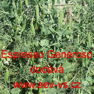 Hr&aacute;ch set&yacute; dřeňov&yacute; tyčkov&yacute; Espresso Generoso