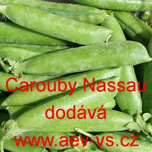 Hr&aacute;ch set&yacute; "kanadsk&yacute;" pnouc&iacute; Carouby Nassau