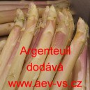 Chřest l&eacute;kařsk&yacute; Argenteuil