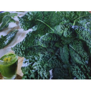 Kapusta kadeřav&aacute; kadeř&aacute;vek zelen&yacute; palmov&yacute; Black Magic F1