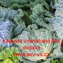 Kapusta hl&aacute;vkov&aacute; velmi ran&aacute; až ran&aacute; Mix