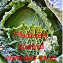 Kapusta hl&aacute;vkov&aacute; Předzvěst