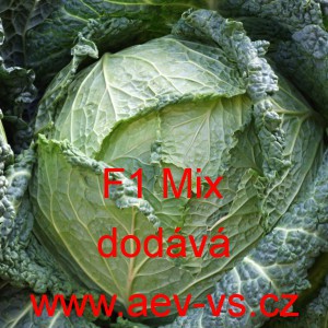 Kapusta hl&aacute;vkov&aacute; hybridn&iacute; poloran&aacute; F1 Mix