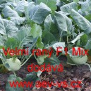 Kedluben b&iacute;l&yacute; hybridn&iacute; velmi ran&yacute; F1 Mix