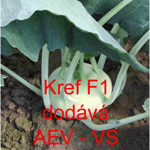 Kedluben b&iacute;l&yacute; hybridn&iacute; Kref F1