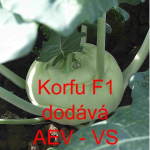 Kedluben b&iacute;l&yacute; hybridn&iacute; Korfu F1