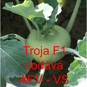 Kedluben b&iacute;l&yacute; hybridn&iacute; Troja F1