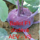 Kedluben modr&yacute; hybridn&iacute; Ballot F1