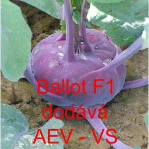 Kedluben modr&yacute; hybridn&iacute; Ballot F1