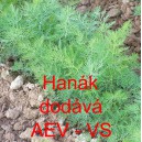 Kopr vonn&yacute; Han&aacute;k