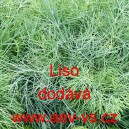 Kopr vonn&yacute; Liso