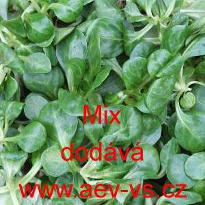 Kozl&iacute;ček poln&iacute;ček Mix