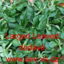 Kozl&iacute;ček poln&iacute;ček Larged Leaved