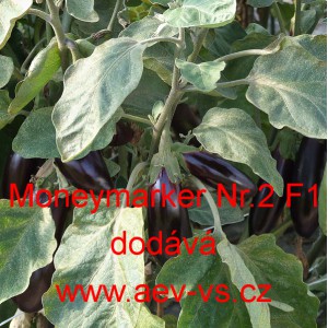 Lilek vejcoplod&yacute; baklaž&aacute;n hybridn&iacute; Moneymaker Nr.2 F1