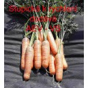 Mrkev obecn&aacute; Stupick&aacute; k rychlen&iacute;