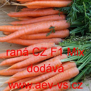 Mrkev obecn&aacute; hybridn&iacute; ran&aacute; CZ F1 Mix