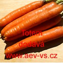 Mrkev obecn&aacute; Totem