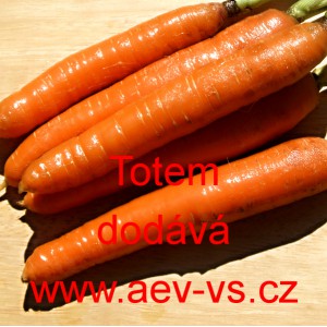 Mrkev obecn&aacute; Totem