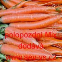 Mrkev obecn&aacute; polopozdn&iacute; Mix