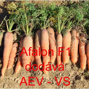 Mrkev obecn&aacute; hybridn&iacute; Afalon F1