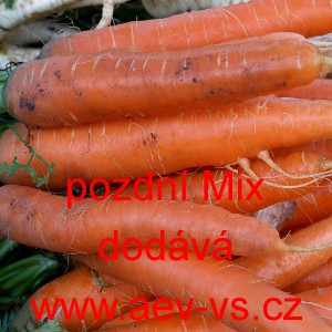 Mrkev obecn&aacute; pozdn&iacute; Mix