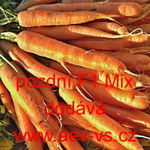 Mrkev obecn&aacute; hybridn&iacute; pozdn&iacute; F1 Mix