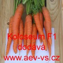 Mrkev obecn&aacute; hybridn&iacute; Koloseum F1