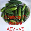 Okurka set&aacute; nakl&aacute;dačka hybridn&iacute; Charlotte F1