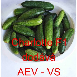 Okurka set&aacute; nakl&aacute;dačka hybridn&iacute; Charlotte F1
