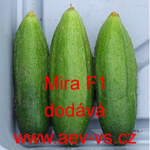 Okurka set&aacute; nakl&aacute;dačka hybridn&iacute; Mira F1